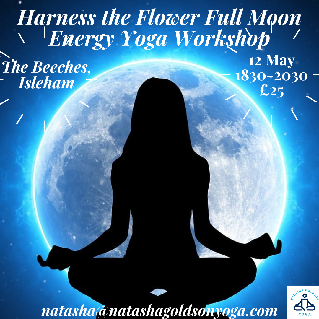 meditation course